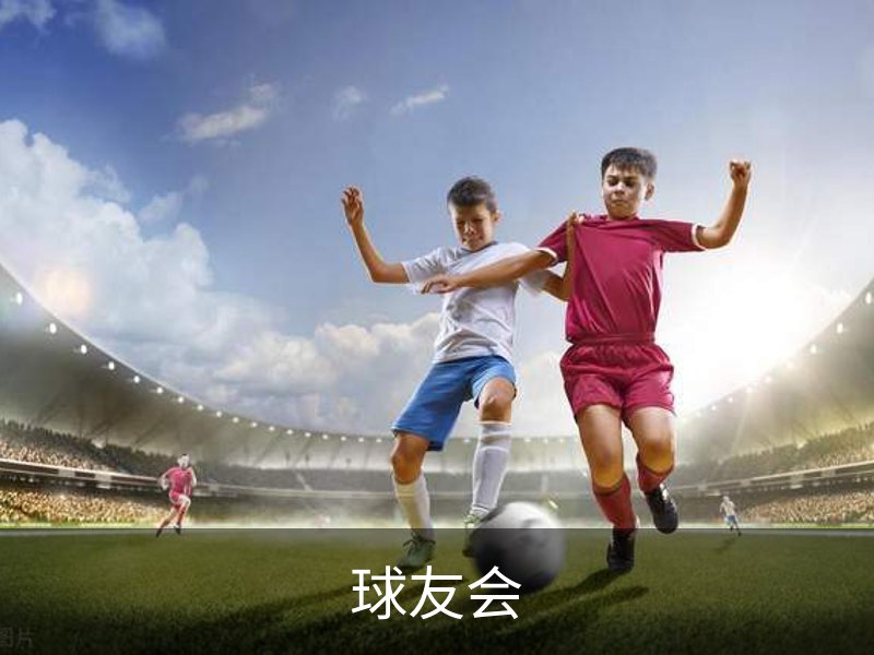 球友会简介